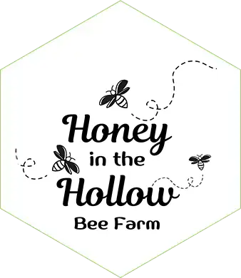 Honey in the hollow logo