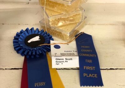 Blog 6 Photos from Honey In The Hollow Bee Farm LLC’s post