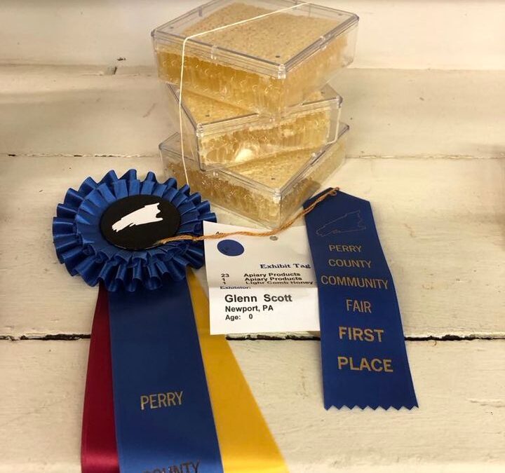 Photos from Honey In The Hollow Bee Farm LLC’s post