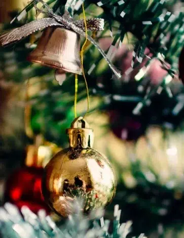 nsplsh 79534e6b436b644b795459mv2 d 6000 4000 s 4 2 1 e1727099656706