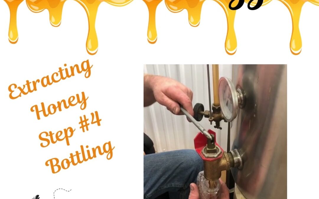 ????????From our Hives to your Home in 4 simple steps