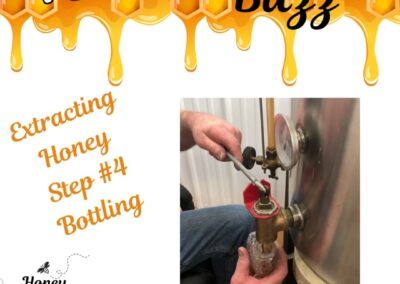 Blog 2 ????????From our Hives to your Home in 4 simple steps