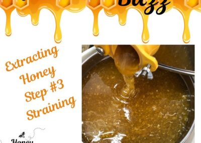 Blog 1 An important, but misunderstood, part of our process is straining