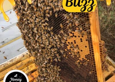 ???????? Beekeeper Glenn was thrilled and surprised to see this frame in one of his boxes that he just transported from NY to South Ca…