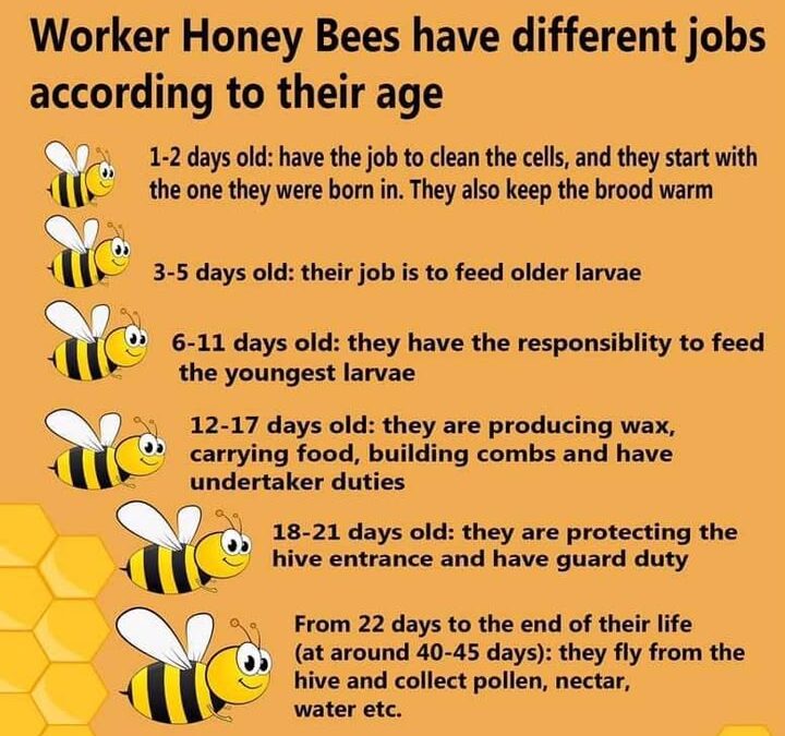 ❤️❤️????????