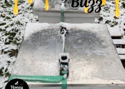 Did you know honey bees don’t hibernate like most insects?