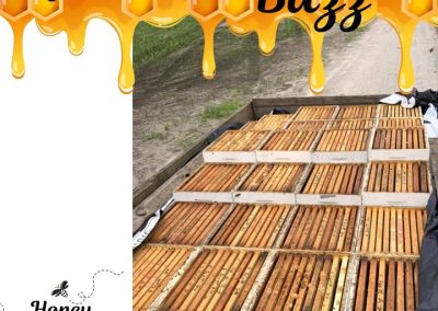 Blog 1 We’ve pulled our first harvest of honey🍯 for the season