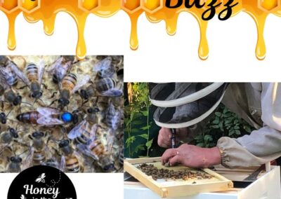 Ever wonder why you see those strange colored dots on a queen bee’s🐝 thorax?