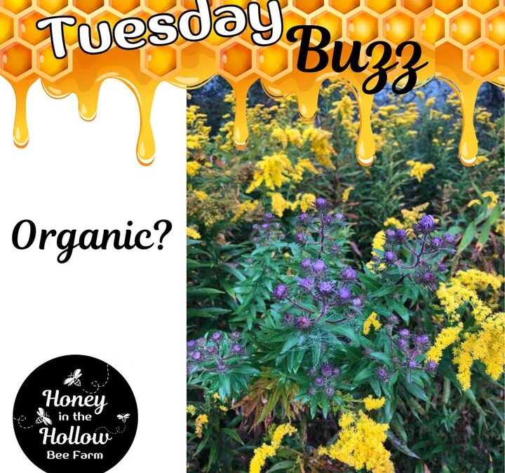 ❓Folks have asked us whether our honey is organic