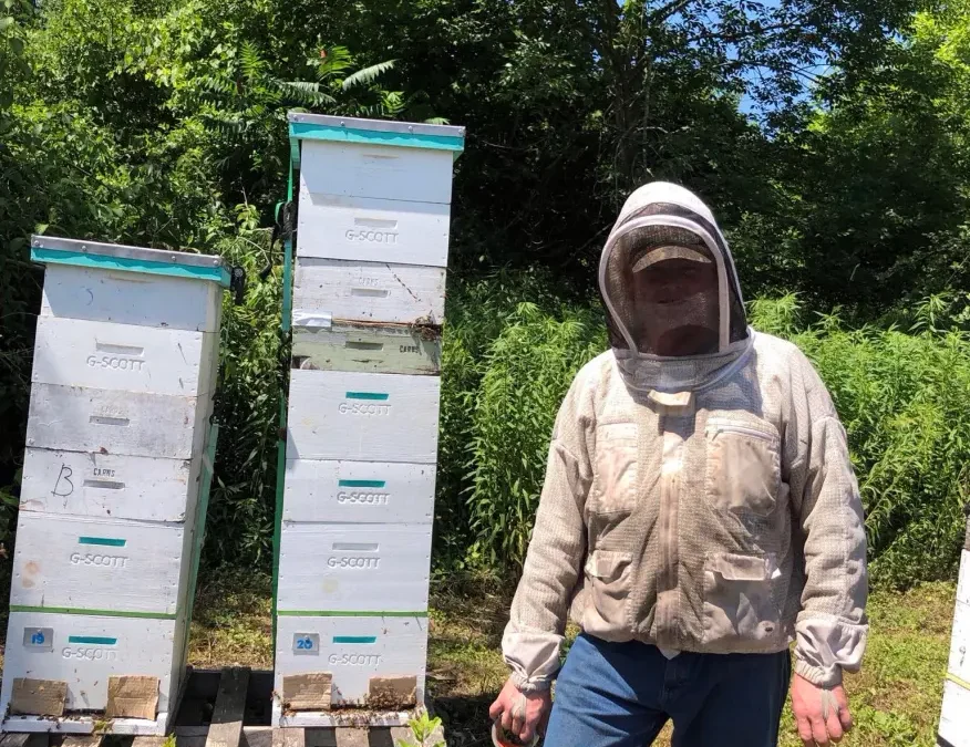 Perry County bee farm doing its part to ‘save the bees’