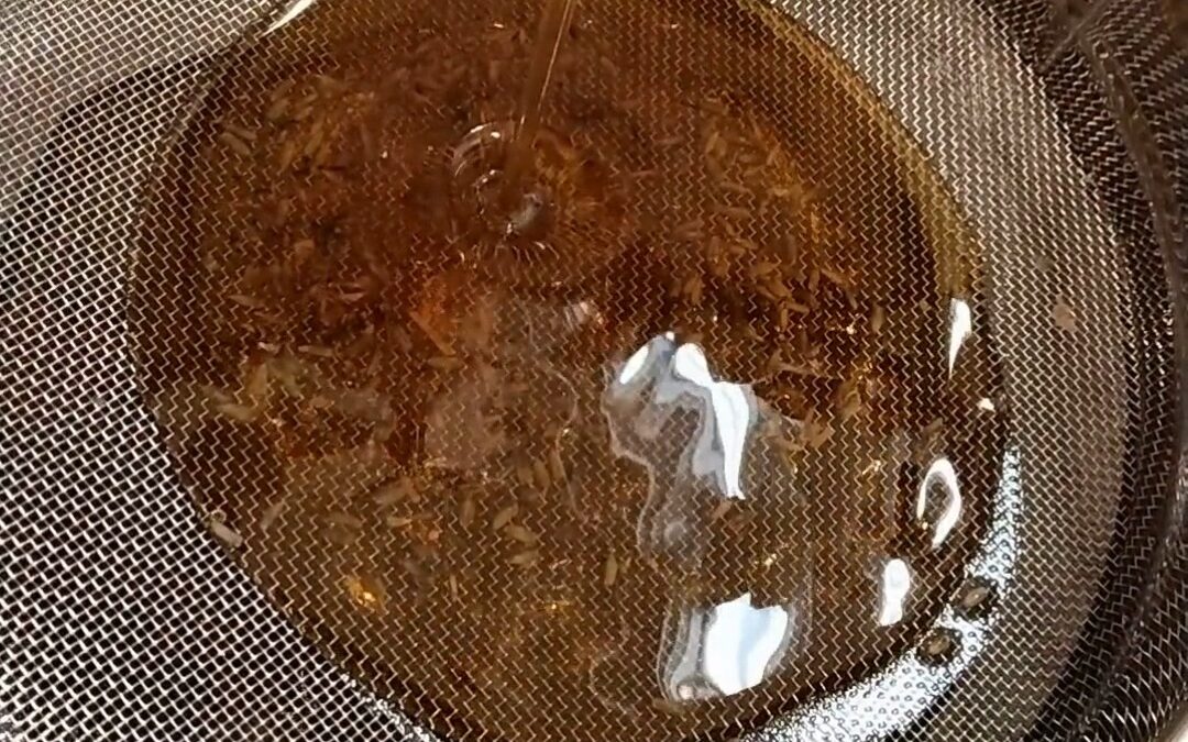 Watch the magic unfold… 💜🍯