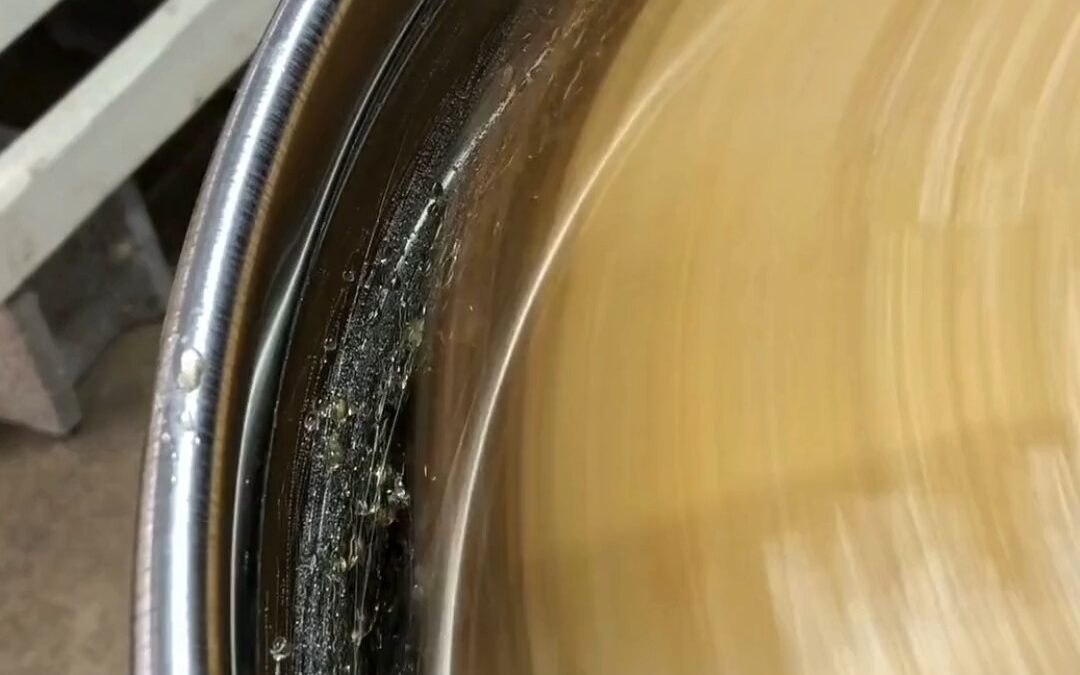 Spinning liquid gold ✨🍯