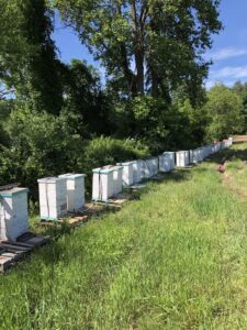 sue scott 2025 moore