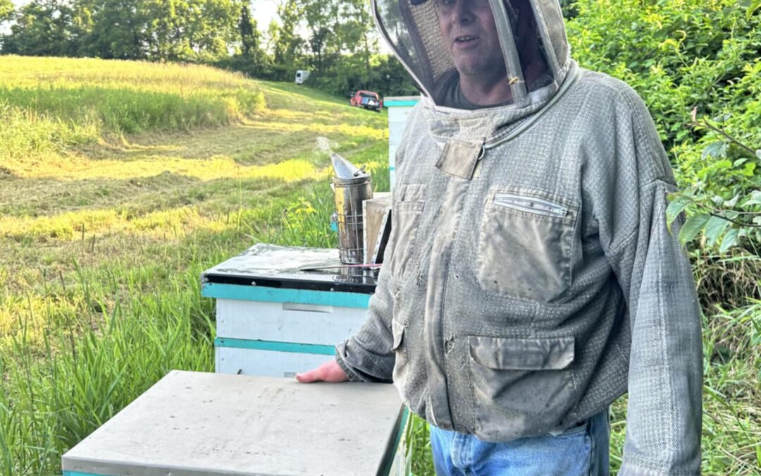 Honey Flows in Newport Hollow