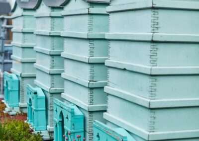 Blog 12 In London, some bees live in style!