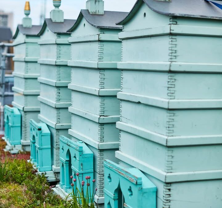 In London,  some bees live in style!