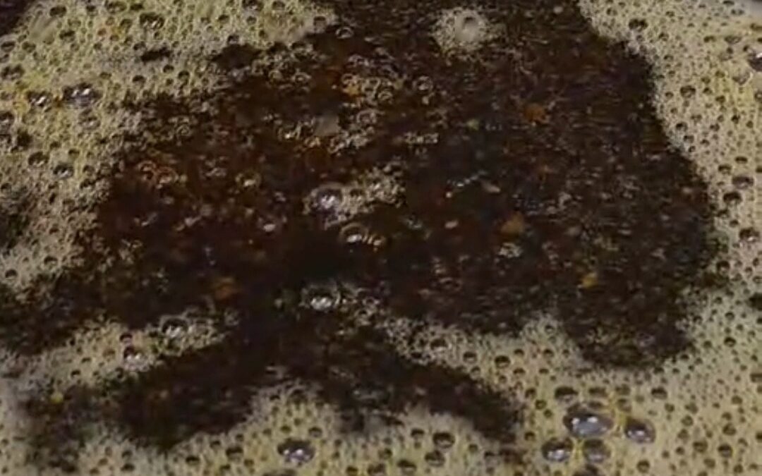 Every step of our business is done by our family, including the mixing of our quality herbs and spices with honey, and then stra…