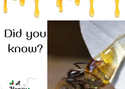 ❓🤔Did you know that honeybees must consume about 8 pounds of honey to produce 1 pound of wax?🤯  It’s a highly intense activity t…