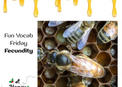 Fecundity – The measure of how productive and fertile a female honeybee queen is.🐝🐝🐝