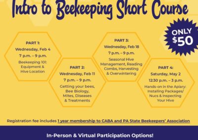 Join our beginner-friendly short course to learn bee biology, hive management, essential equipment, and how to keep your bees he…