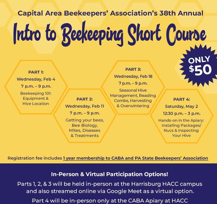 Join our beginner-friendly short course to learn bee biology, hive management, essential equipment, and how to keep your bees he…