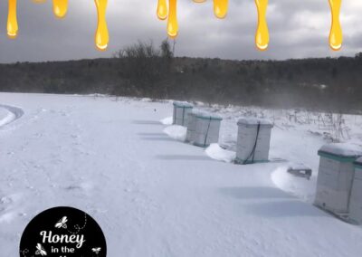 ❄❄ As winter hits and they heat their hive, the bees insulate against the drafts🌬 and fill those little holes with propolis, a s…