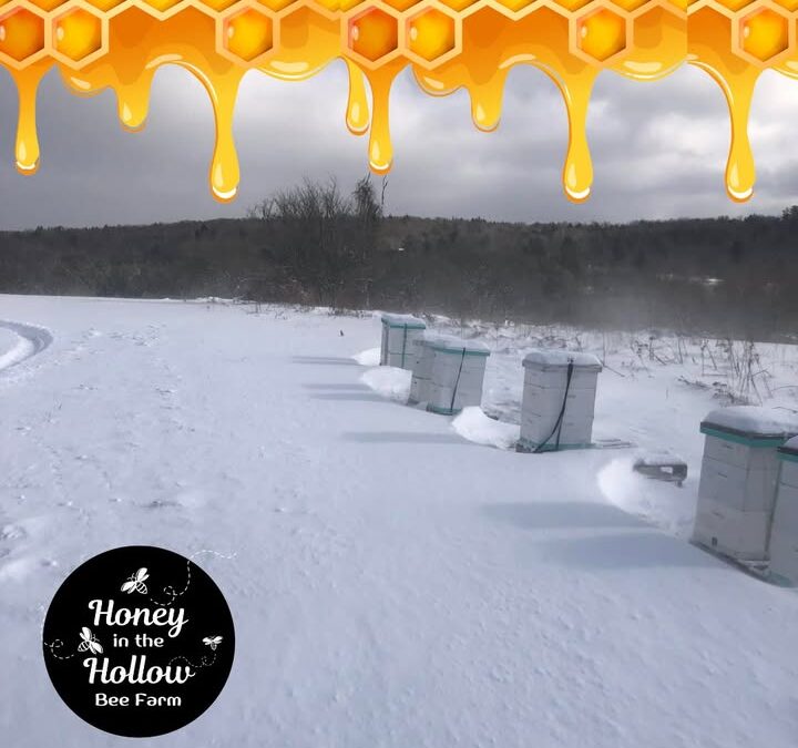 ❄❄ As winter hits and they heat their hive, the bees insulate against the drafts🌬 and fill those little holes with propolis, a s…