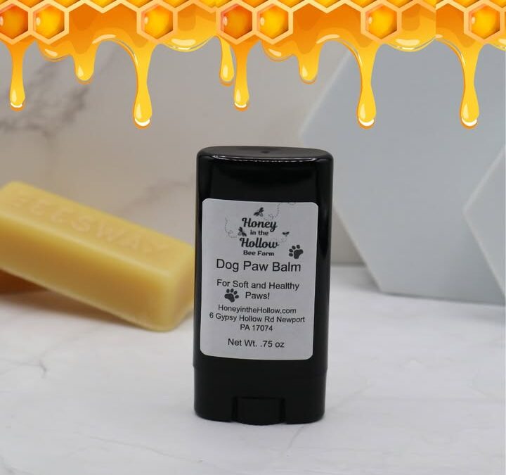 Winter paw care made simple 🐾