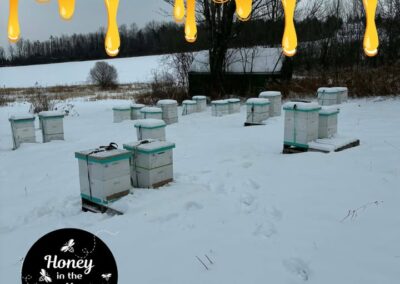 ❓❓ Ever heard of winter bees?
