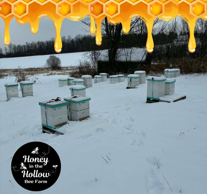 ❓❓ Ever heard of winter bees?