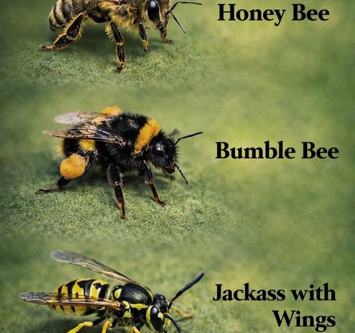 One works quietly and creates honey