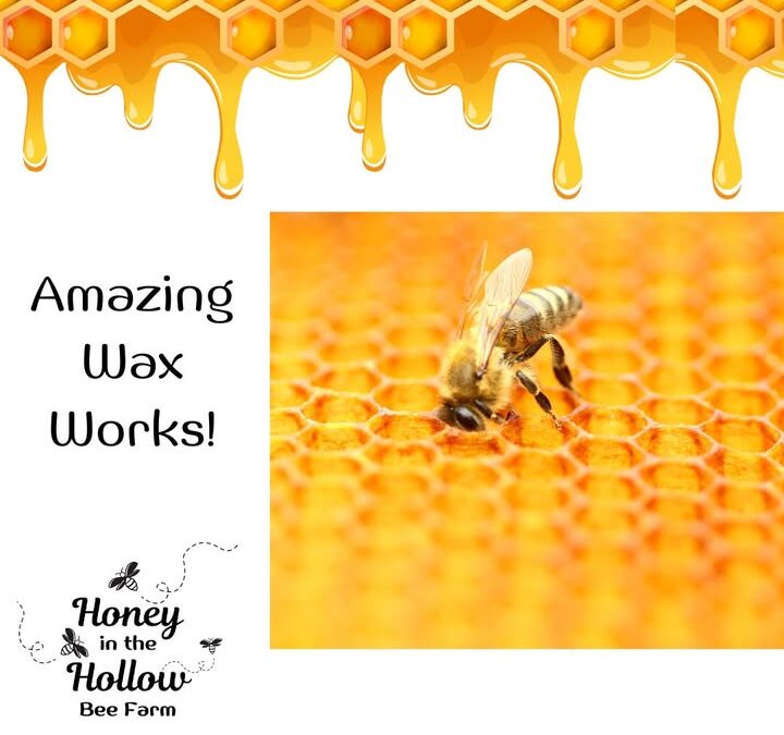 From honey to home 🐝