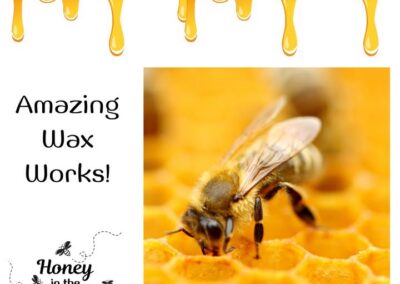 Wax doesn’t come from plants—it comes from bees 💛