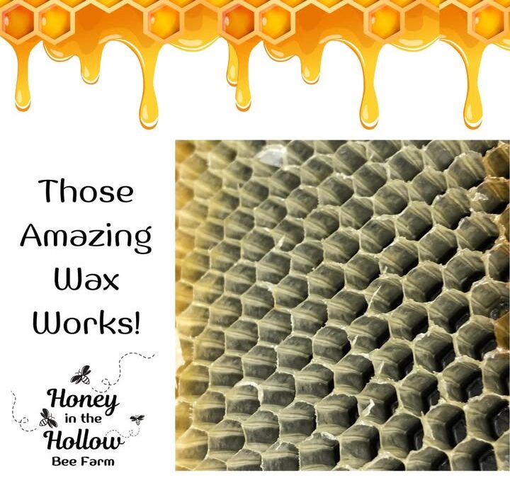 Every cell has a purpose ✨