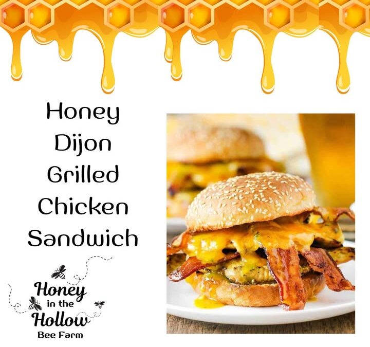 These Honey Dijon Grilled Chicken Sandwiches are a hearty and satisfying meal