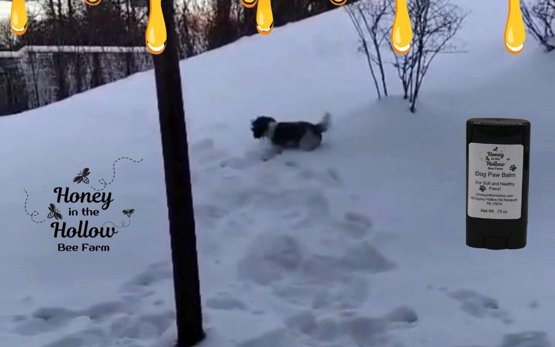 If your pup is enjoying the snow like ours is, they need Paw Balm to protect their feet