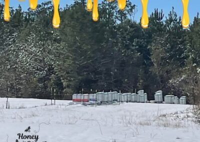 Our farmer friends in South Carolina aren’t too thrilled with us right now—they’re convinced our bees brought the snow with them