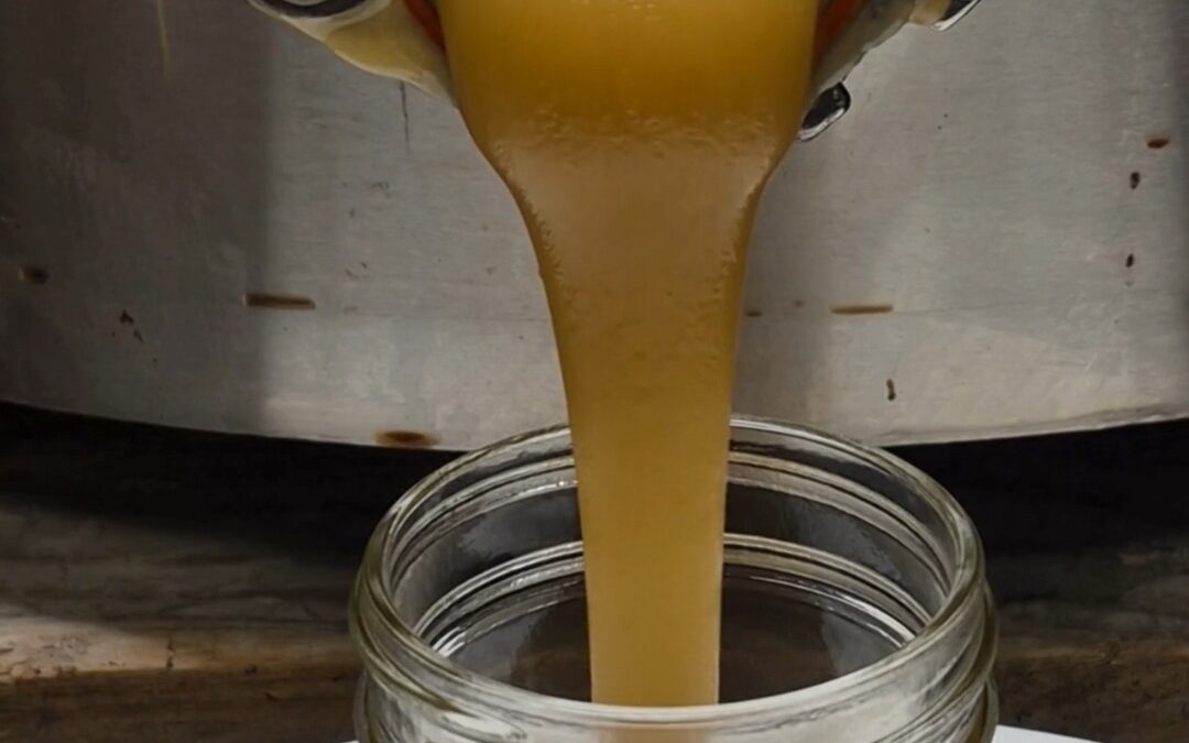 We’re bottling our creamed honey…slow but creamy