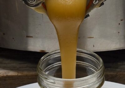 We’re bottling our creamed honey…slow but creamy