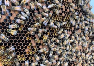 Even the small things add up 🌎 Here’s one way we try to make a difference…