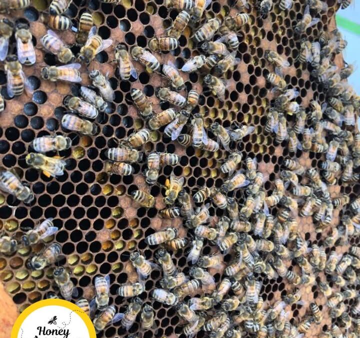 Even the small things add up 🌎 Here’s one way we try to make a difference…