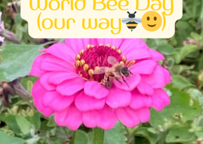 Celebrate bees with us!