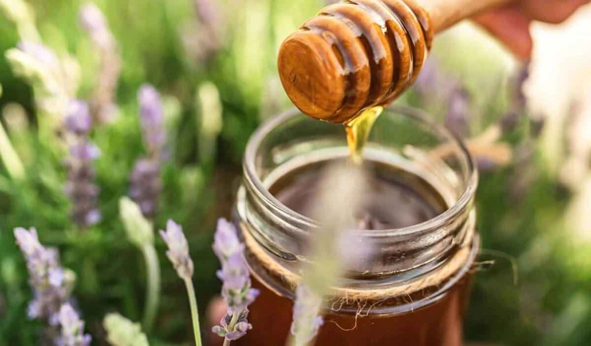 PA Herb & Honey