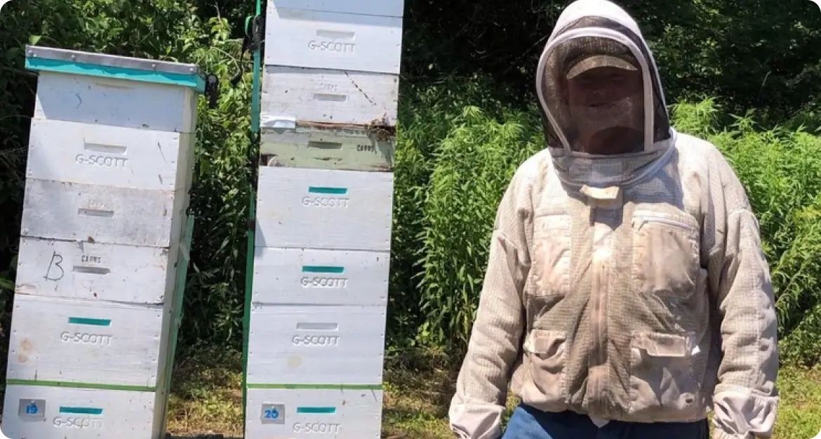 Beekeeper Beside Hives