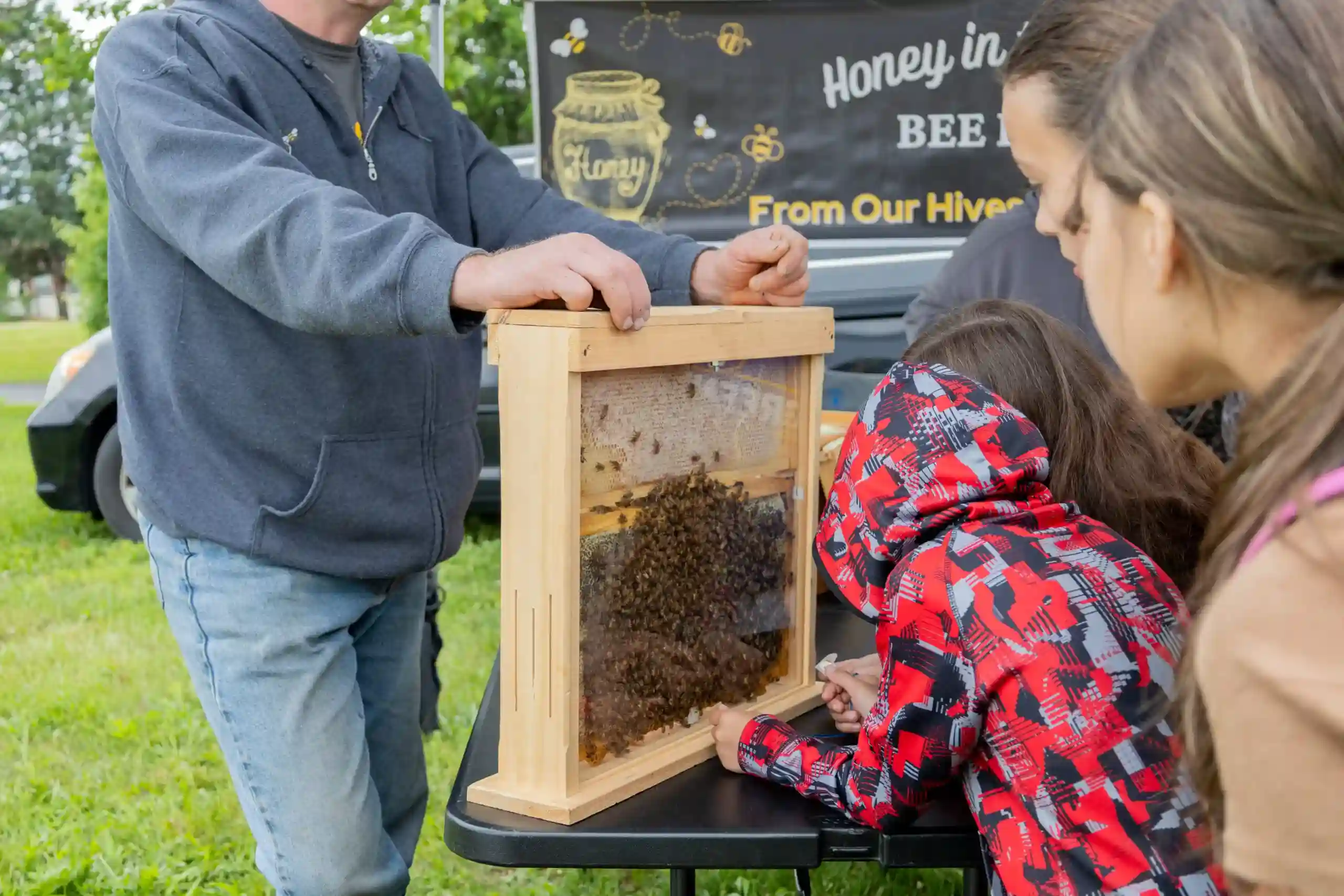 Man demonstrates a wooden beehive frame to children at an outdoor honey booth with a banner in the background