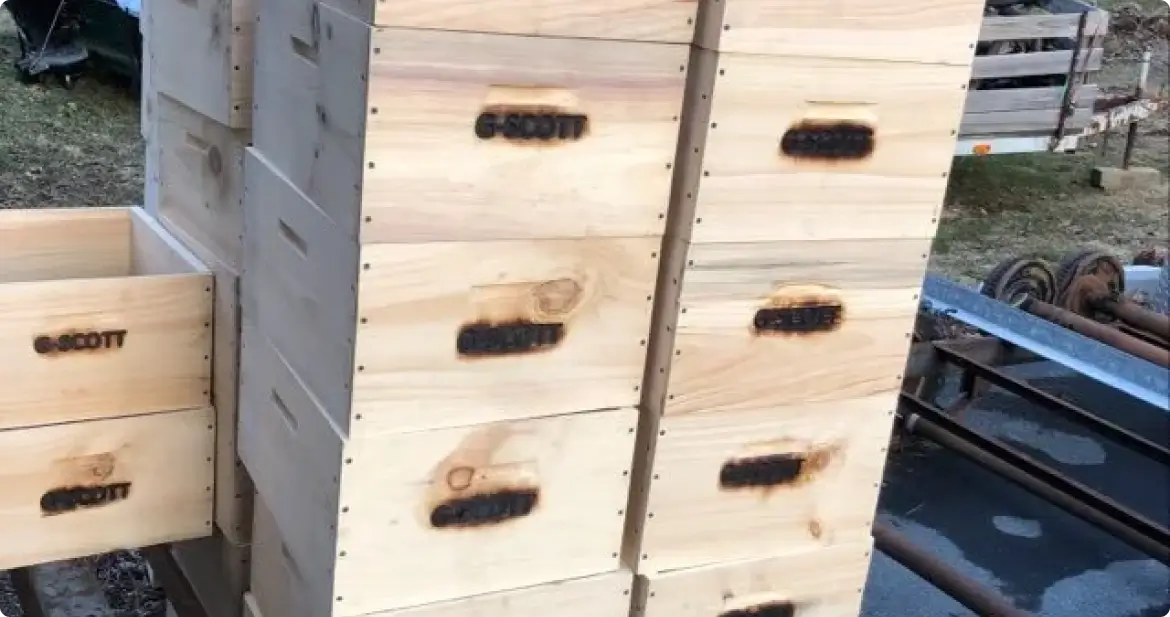Stack of unfinished wooden beehive boxes outdoors with black handled viewing ports and branded marks like GSCOTT on the sides